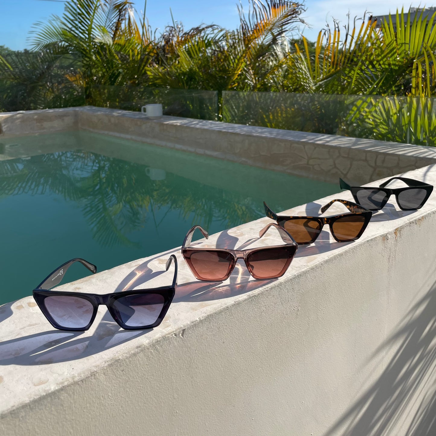 Chic Sunglasses